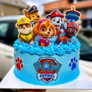 EXPRESS BUDGET CAKES